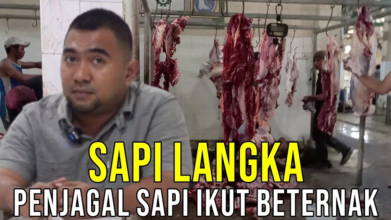 
                                 Sapi-Langka-Jagal-Beternak
